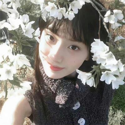 安乐传